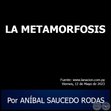 LA METAMORFOSIS - Por ANBAL SAUCEDO RODAS - Viernes, 12 de Mayo de 2023